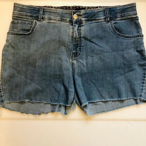 Lee’s 18W Midrise Upcycled Torn Jean Denim Shorts OOAK